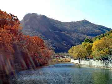 澳门二四六天天彩图库，美菱冰箱好吗